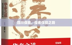 四川保险，探索全方位保障之路