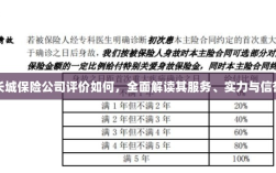 长城保险公司全面评价，服务、实力与信誉深度解读
