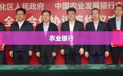 农业银行行长谈，盈利增长如何持续延续，今年业绩展望揭晓