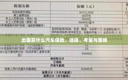 出国汽车保险购买指南，选择、考量与策略