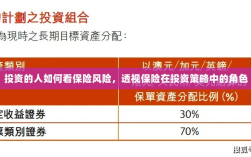保险风险视角下的投资策略，透视保险在投资中的多重角色与考量因素