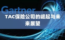 TAC保险公司的崛起及未来展望