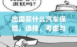 出国购车保险指南，选择、考虑与准备事项全解析