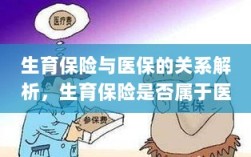 生育保险与医保关系解析，生育保险是否纳入医保范畴探讨