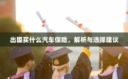 出国购车保险指南，解析与选择建议