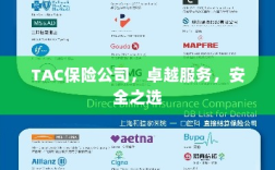 TAC保险公司，卓越服务，信赖的安全之选