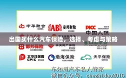 出国购车保险指南，选择、考虑与策略全解析