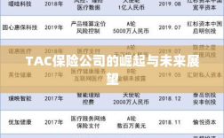 TAC保险公司的崛起及未来展望