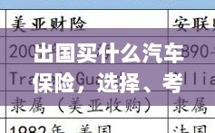出国购车保险指南，选择、考虑与策略全解析