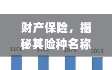 财产保险揭秘，险种名称与内涵全解析