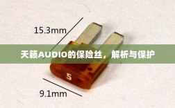 天籁AUDIO保险丝解析与保护指南