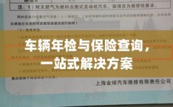 车辆年检与保险查询，一站式解决方案解析