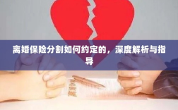 离婚保险分割深度解析与指导，约定要点及操作流程