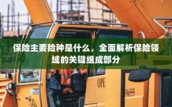 全面解析保险领域关键组成部分，主要险种介绍与解析