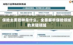全面解析保险领域关键领域，主要险种介绍与概述