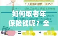 全面解析，老年保险金的领取流程与策略指南