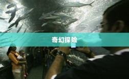 深灵笔记，手游的魅力与奇幻探险之旅
