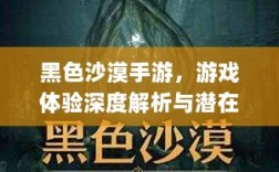 黑色沙漠手游，游戏体验深度解析与潜在问题探讨