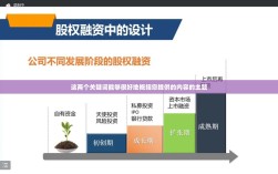 股权过度融资，含义、影响及应对策略解析