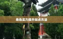 问道手游点化攻略，提升角色实力的巧妙加点方法