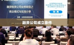 融资公司成立条件的深度解析与探讨