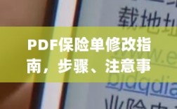 PDF保险单修改指南，步骤、注意事项及最佳操作实践