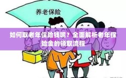 全面解析，老年保险金的领取流程与如何领取老年保险金