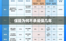 保险承诺期限的探讨与解析，为何保险不承诺保几年？