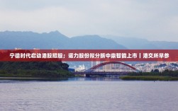 宁德时代启动港股招股与诺力股份分拆上市计划，港交所早参摘要