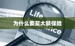 大额保险的重要性与必要性，为何购买大额保险？