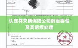 认定书交到保险公司的重要性及后续处理流程详解