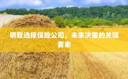 明智选择保险公司，未来决策的关键要素概览