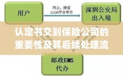 认定书对保险公司的重要性及后续处理流程详解