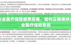 失业医疗保险缴费详解，如何正确缴纳费用指南