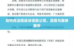 保险公司追诉流程与策略解析，法院途径指南
