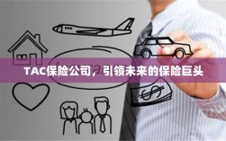 TAC保险公司，引领保险行业未来巨头之路