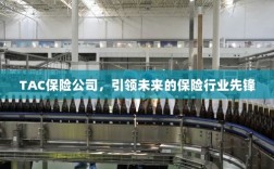 TAC保险公司，引领保险行业未来先锋