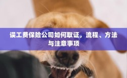 保险公司如何取证误工费，流程、方法与注意事项详解
