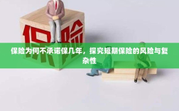 探究短期保险的风险与复杂性，为何保险公司不承诺长期保障？
