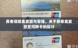 养老保险金发放与管理，关于养老金发放至哪种卡的深度探讨