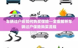 车辆过户后保险购买指南，全面解析车辆过户保险购买流程
