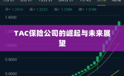 TAC保险公司的崛起及未来展望