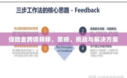 保险金跨境转移，策略、挑战及解决方案探讨