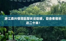 浙江嘉兴惊现巨型长云巨蟒，目击者称长达二十米！