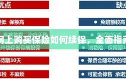 网上购买保险的续保指南，全面解析保险续保流程