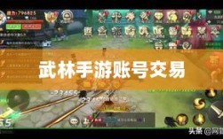 武林手游内的账号交易现象探究，游戏账号买卖是否可行？