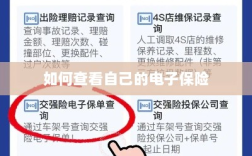 如何查看个人电子保险保单详情