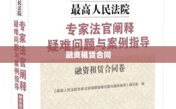 融资租赁合同详解，概念与解析指南