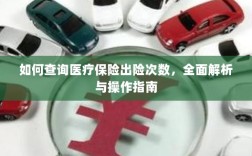医疗保险出险次数查询指南，全面解析与操作指南