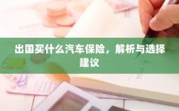 出国购车保险指南，解析与选择建议